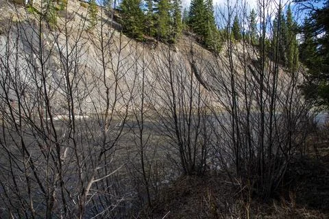 A View Of A River Through Some Trees. Stock Photos