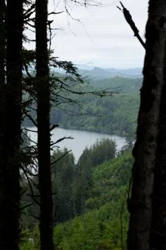 View of a river through trees on an overcast day Stock Photos