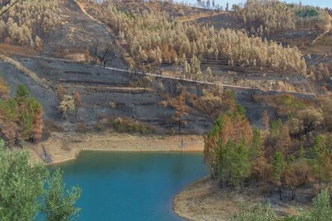 View to the river from the Tomar mountain range. with Burnt Forest. Stock Photos