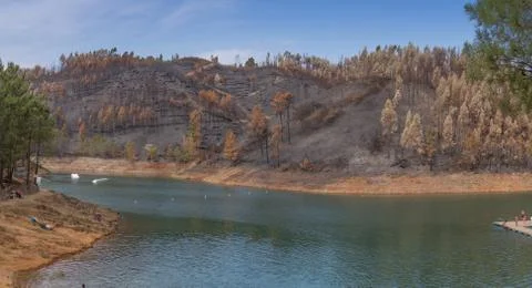 View to the river from the Tomar mountain range. with Burnt Forest. Stock Photos