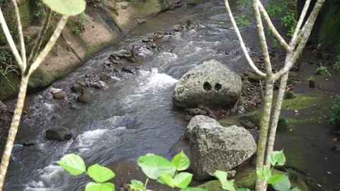 View of the river from the top of the green cliffs of Gunung Lebah Temple, Bali. 動画素材 245402569