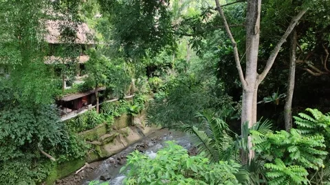 View of the river from the top of the green cliffs of Gunung Lebah Temple, Bali 库存影片 245402577
