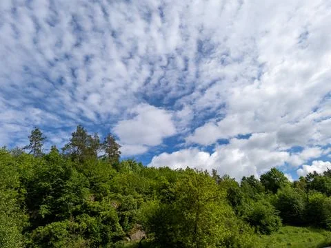A view of a river with trees and clouds in the sky Stock-Fotos