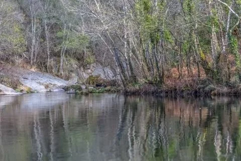 View of a river, with trees, rocks and vegetation on the banks Stock Photos