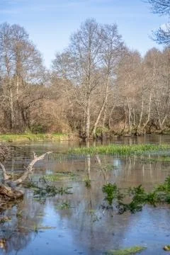 View of a river, with trees, rocks and vegetation on the banks Stock Photos