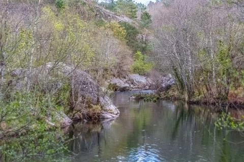 View of a river, with trees, rocks and vegetation on the banks Stock Photos