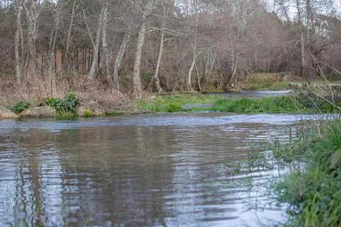 View of a river, with trees, rocks and vegetation on the banks, reflections Stock Photos