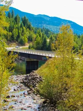 A view of a river under a bridge with pine trees Stock Photos