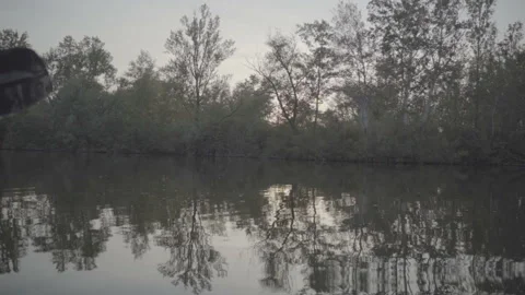 View of river vegetation from a boat 库存影片 116398991