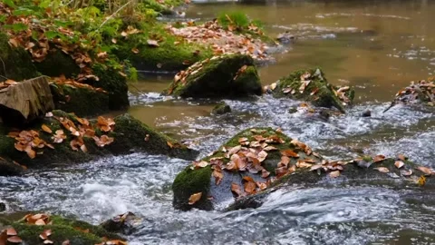 The view of the river water Stock Footage 232865411