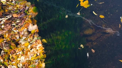 The view of the river water Stock Footage 232866592