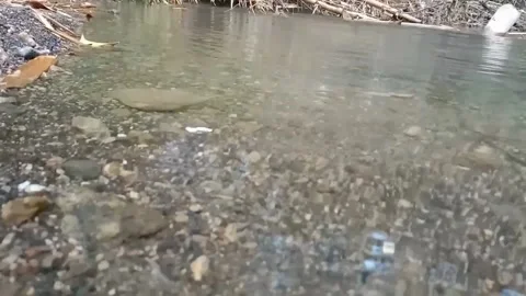 A view of the river water Stock Footage 238923754