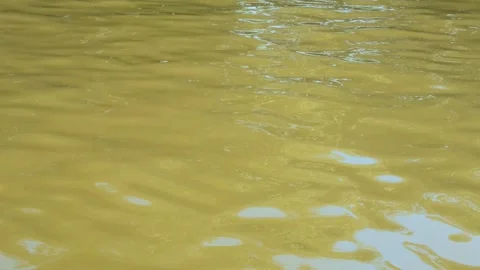 View of the river water Video stock 319077233