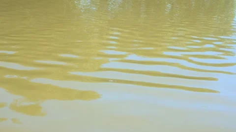 View of river water waves with reflections Stock Footage 319077232