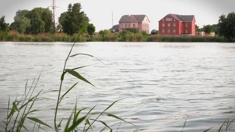 View of the river with waves and reeds and houses on the other side, peacefully Stock Footage 112434166