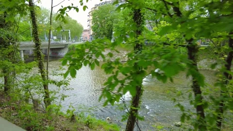 View of a river weir through green trees in Zurich park Stock Footage 334629704