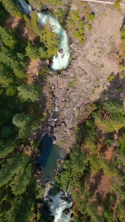 View of river in the woods Stock Footage 274867691