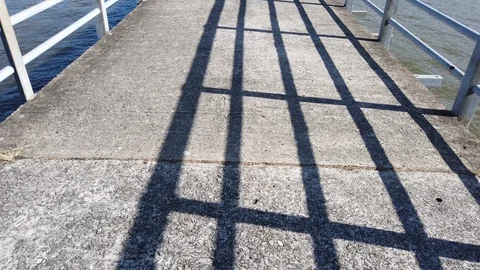 View of river,mangroves and jetty Stock Footage 101085750