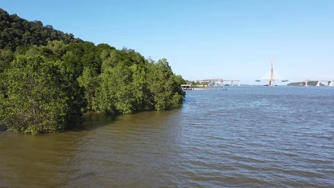 View of river,mangroves and under construction bridge Stock Footage 101082763