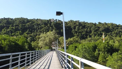 View of river,mangroves and under construction bridge Stock-Footage 101084463