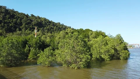 View of river,mangroves and under construction bridge Stock-Footage 101085543