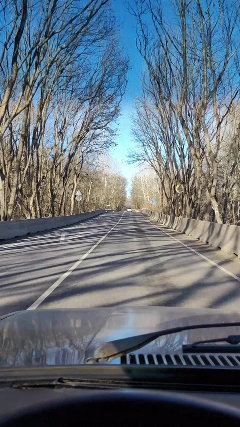 View Of The Road And Forest From The Car View From The Driver's Seat Video Stock Footage 297932821