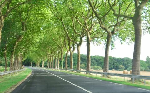 View of the road and forest through the windshield of the car Sunshine Stock Photos