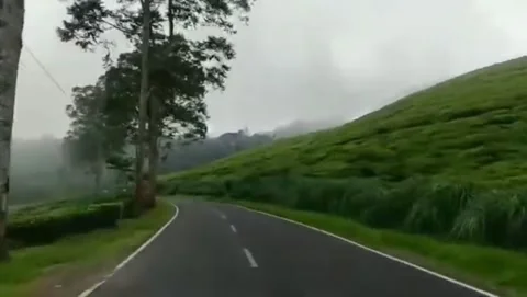 View of the road beside tea and coffee gardens 库存影片 221102515