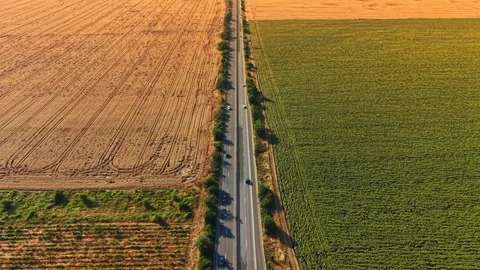 View of a road dividing fields of crops and bare land during the day in a rural Stock Footage 340958907