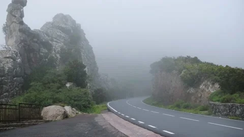 View of road in the dramatic fog Stock Footage 178864358