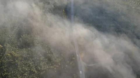 View of the road Stock Footage 162404652