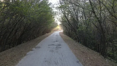 View of the road Stock Footage 163254471