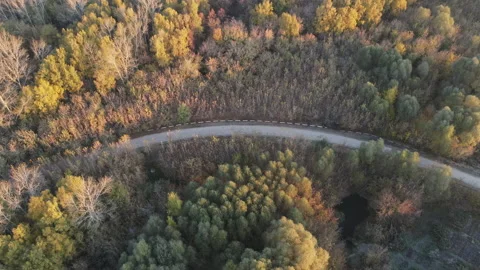 View of the road Stock Footage 163257829