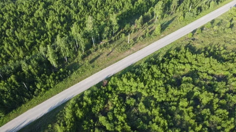 View of the road Stock Footage 166614872