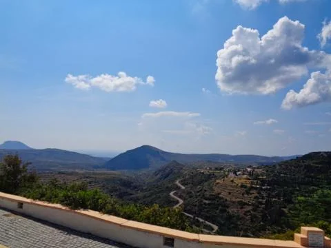 View to a road in the forest Stock Photos
