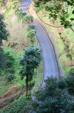 View of road in green meadows Stock Photos