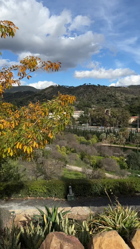 View on road from La Concepcion botanical garden in Malaga. Vertical video Stock Footage 240921970