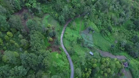 View of the road in the middle of the forest towards the village 動画素材 262818388