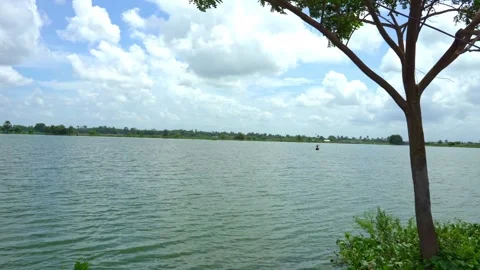 View of Road side Wetland of Kharibari Near Rajarhat Kolkata Stock Footage 301847739