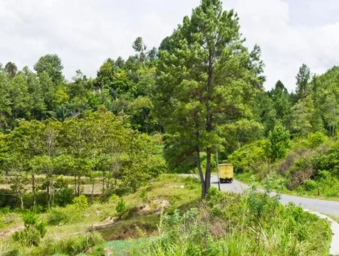 View of road in Sumatra Stock Photos
