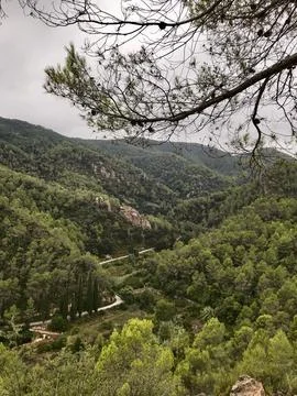 View of the road through the pine forest in the natural park of sierra de e.. Foto stock