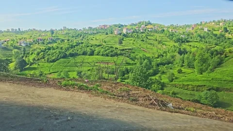 View a road with trees and bushes. Stock Footage 282970058