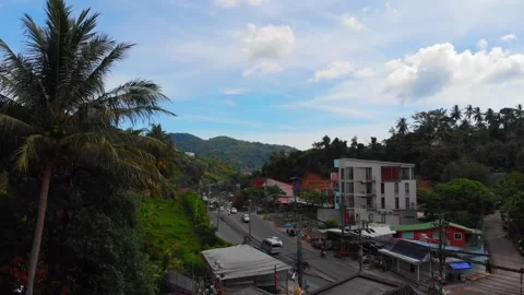 View of the road from under the palm trees, houses surrounded by green nature Stock Footage 247250850