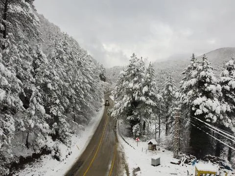 The view of the road in winter Stock Photos