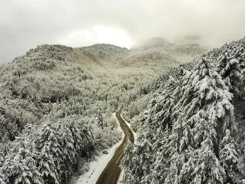 The view of the road in winter Stock Photos