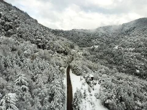The view of the road in winter Stock Photos