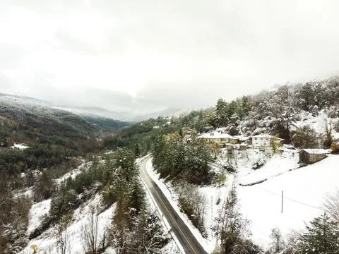 The view of the road in winter 库存照片
