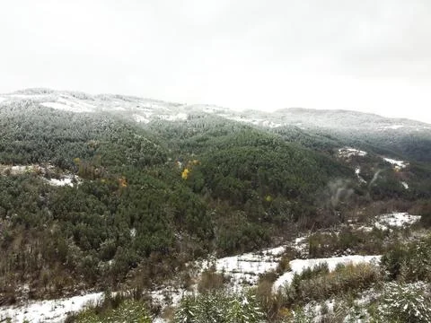 The view of the road in winter 库存照片