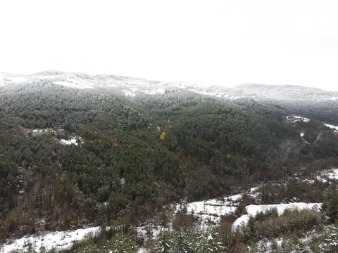 The view of the road in winter Stock Photos