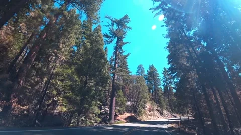View of the road as you drive through Yosemite National Park on a clear, sunny Stock Footage